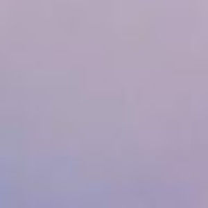 Meet your Posher, Dani